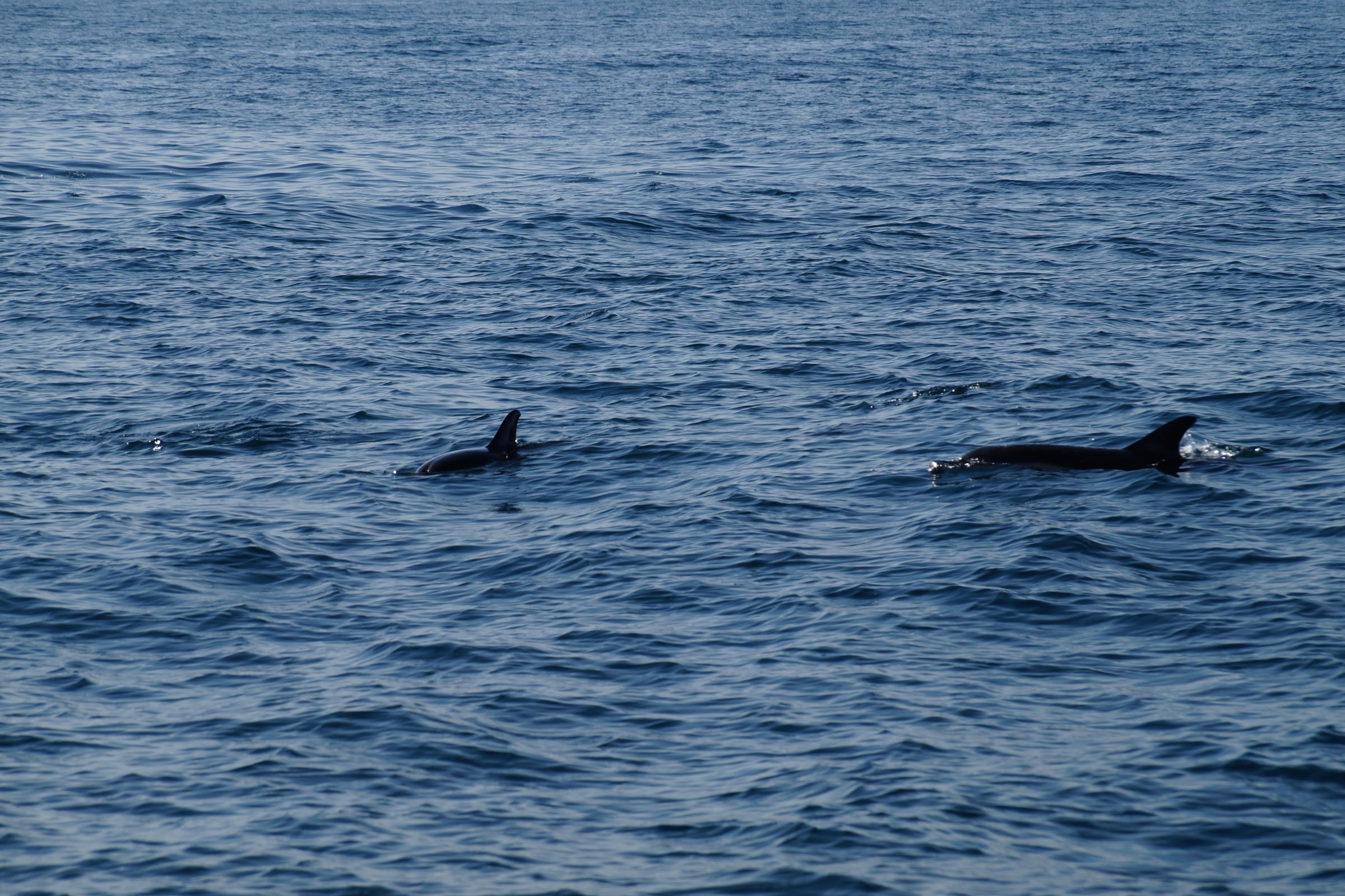 Along the Pink Granite Coast to Roscoff